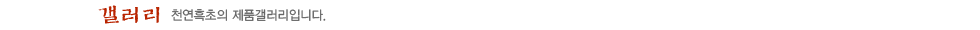 갤러리